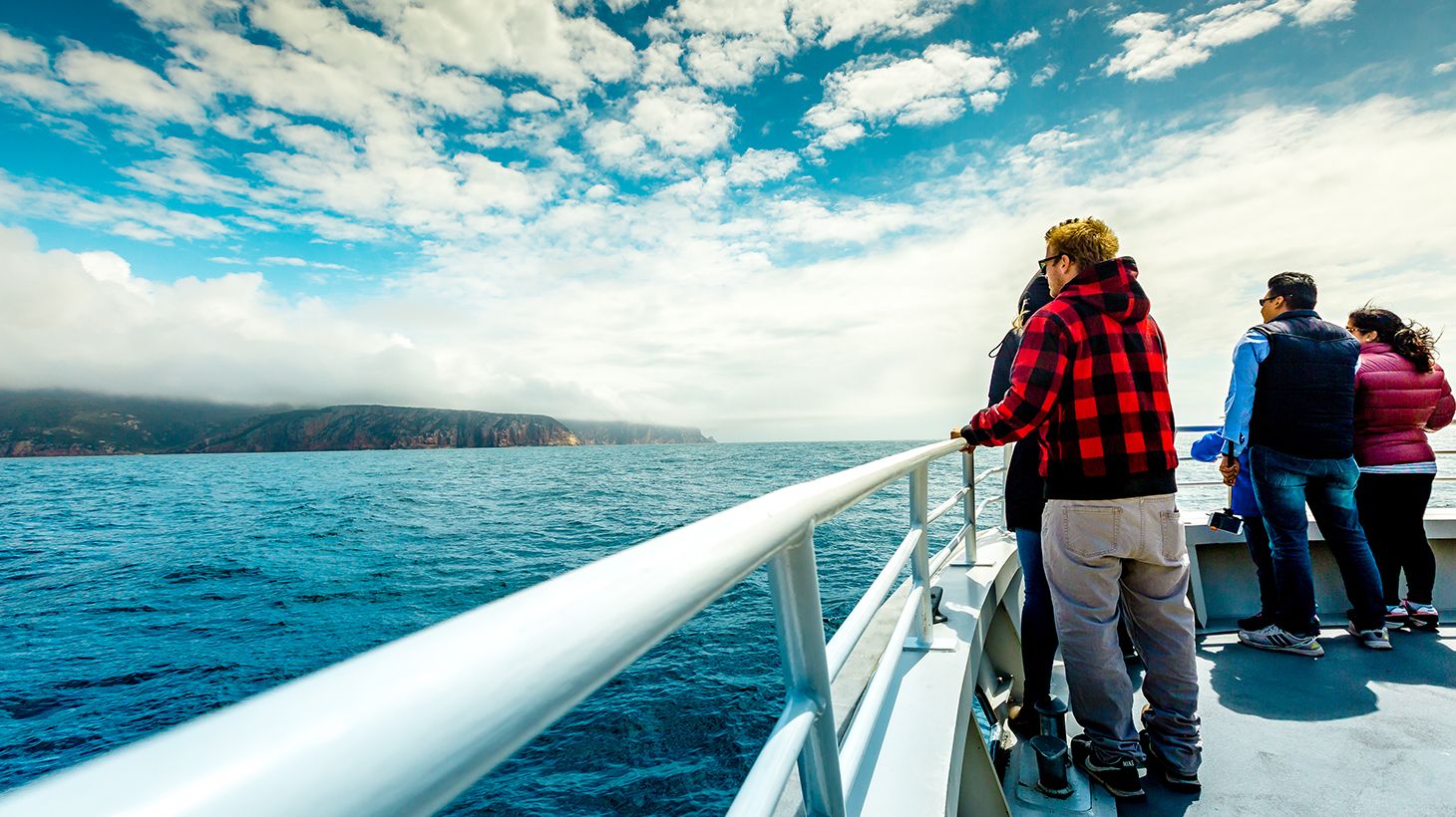 Half-Day Scenic Cruise from Coles Bay to Wineglass Bay with Lunch 4
