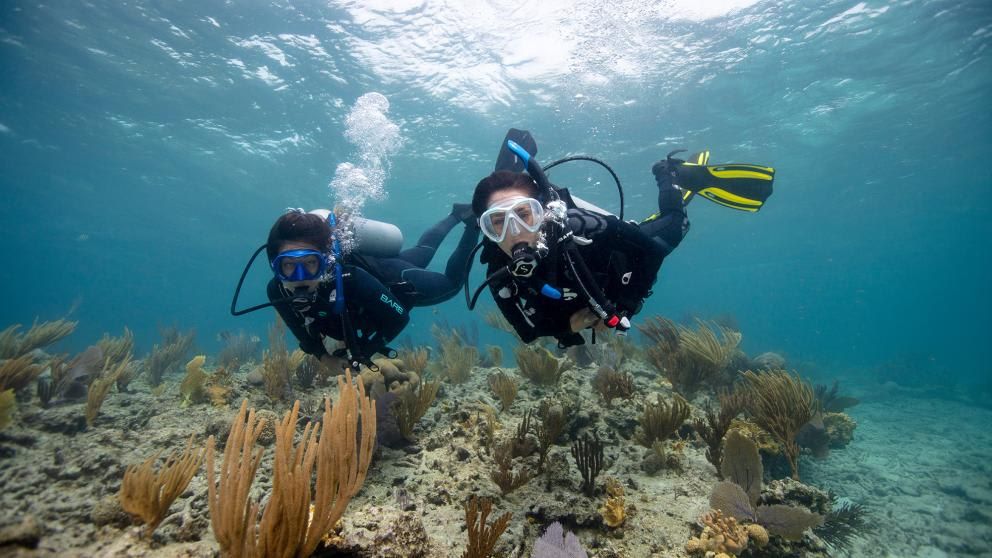 Zurück ins Paradies: Tauch-Auffrischungskurs auf Koh Phi Phi mit PADI Center