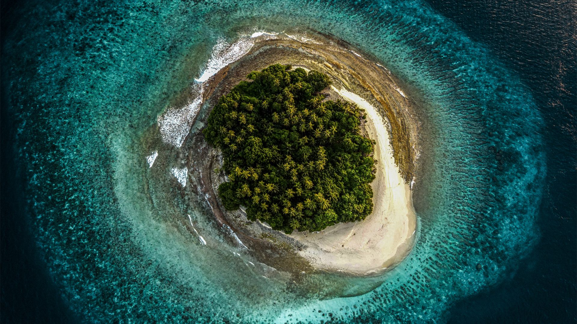 Two-Hour Luxury Catamaran Cruise with Desert Island Exploration from Ifuru Island in the Maldives  5
