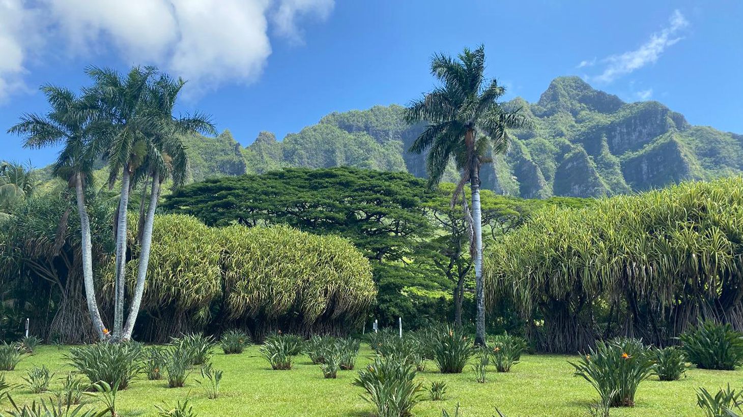 Full-Day Outdoor Tour with Guided Diamond Head Hike, North Shore Visit & Roundtrip Hotel Transfers 4