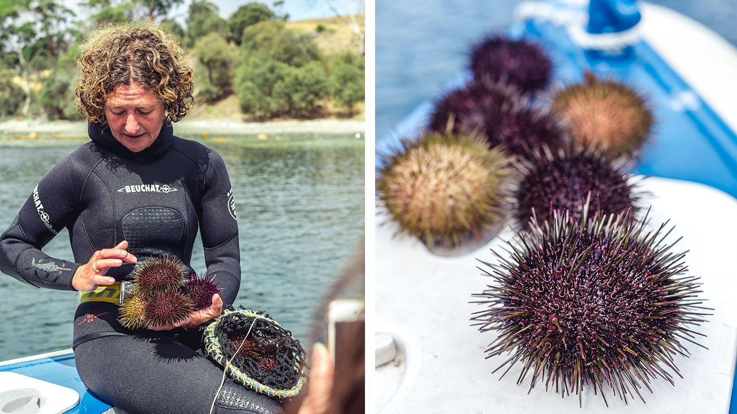 Full-Day Seafood Cruise with Freshly Caught Wild Abalone, Gourmet Lunch & Drinks 4