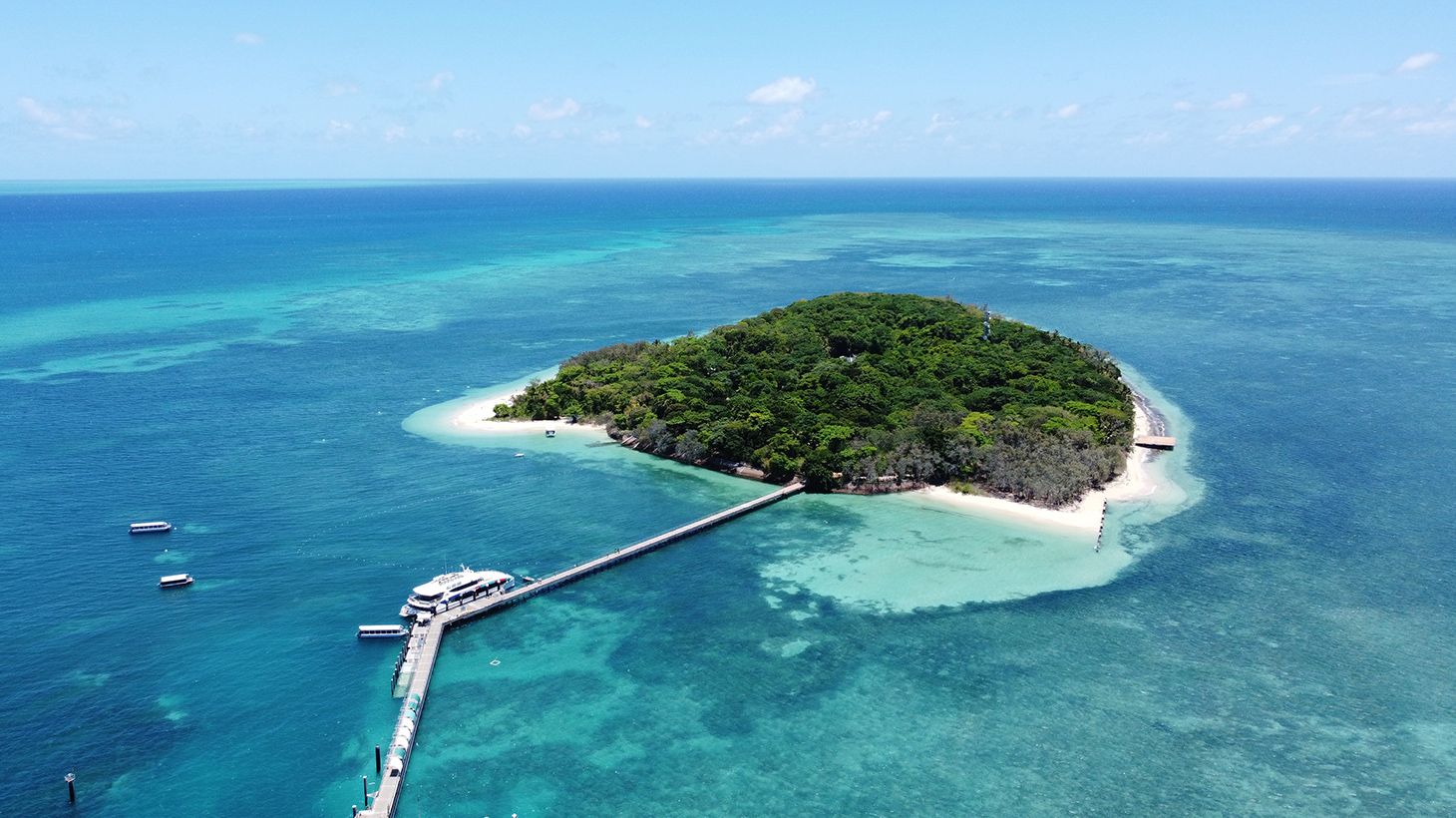 Green Island Reef Cruises with Optional Glass-Bottom Boat Tour, Snorkelling or Buffet Lunch Upgrades