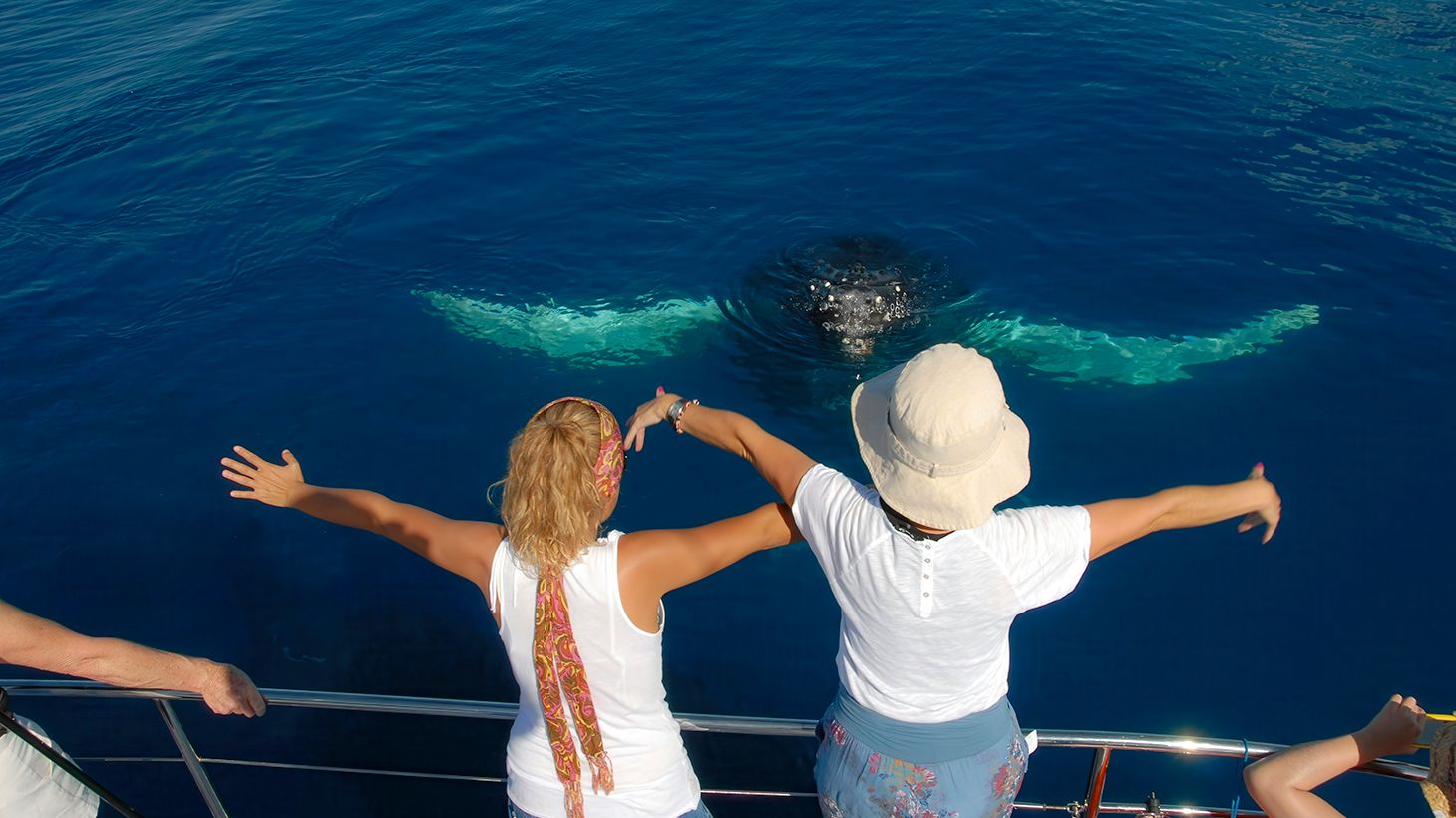 Eight-Hour Guided Whale Watching Experience with Buffet Lunch 3