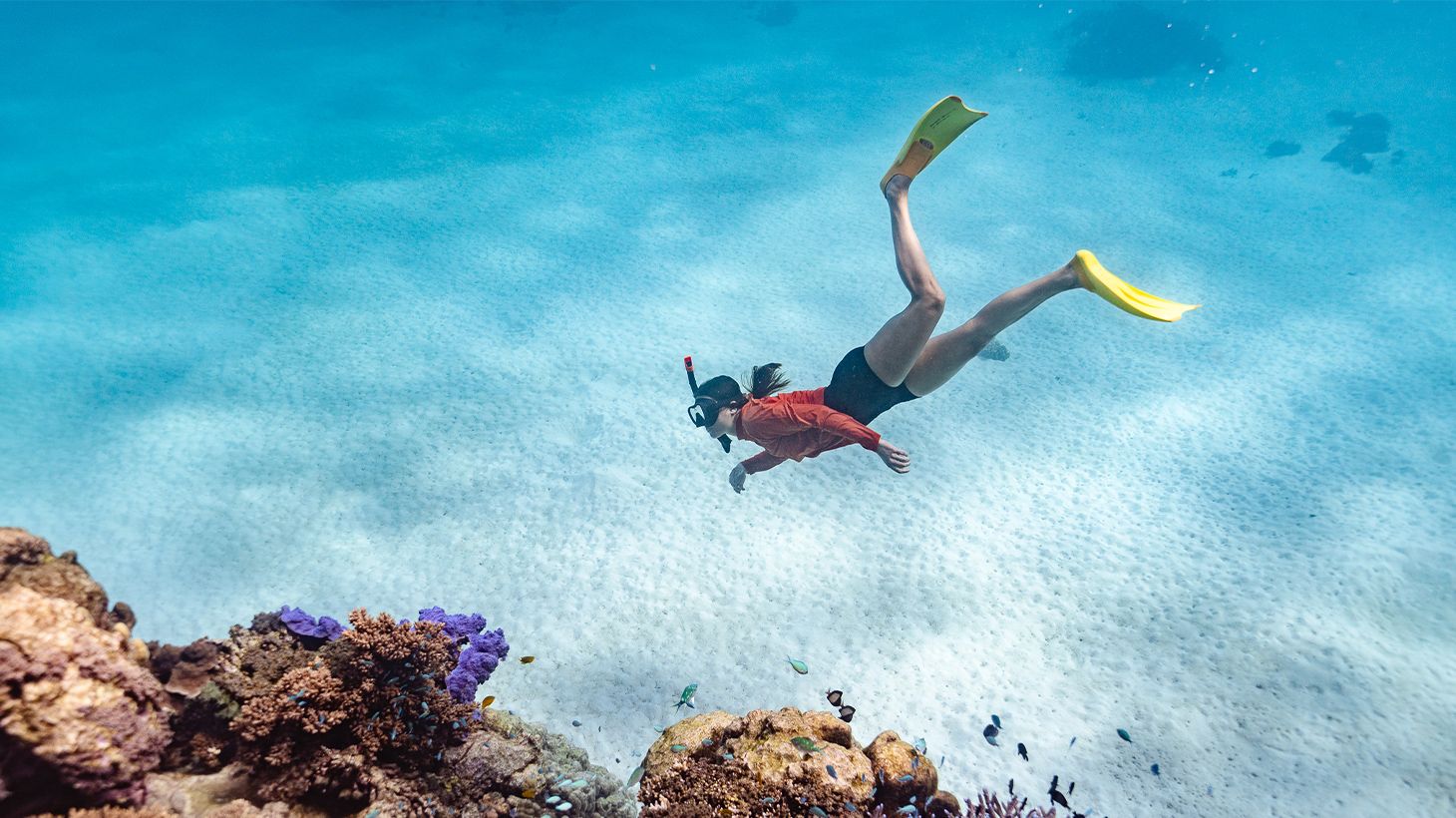 Full-Day Ningaloo Reef Snorkel Adventure with Morning Tea, Picnic Lunch & Snorkelling Gear 2