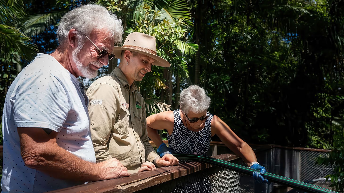 Exhilarating Saltwater Crocodile Feeding Experience at Wildlife Habitat 4