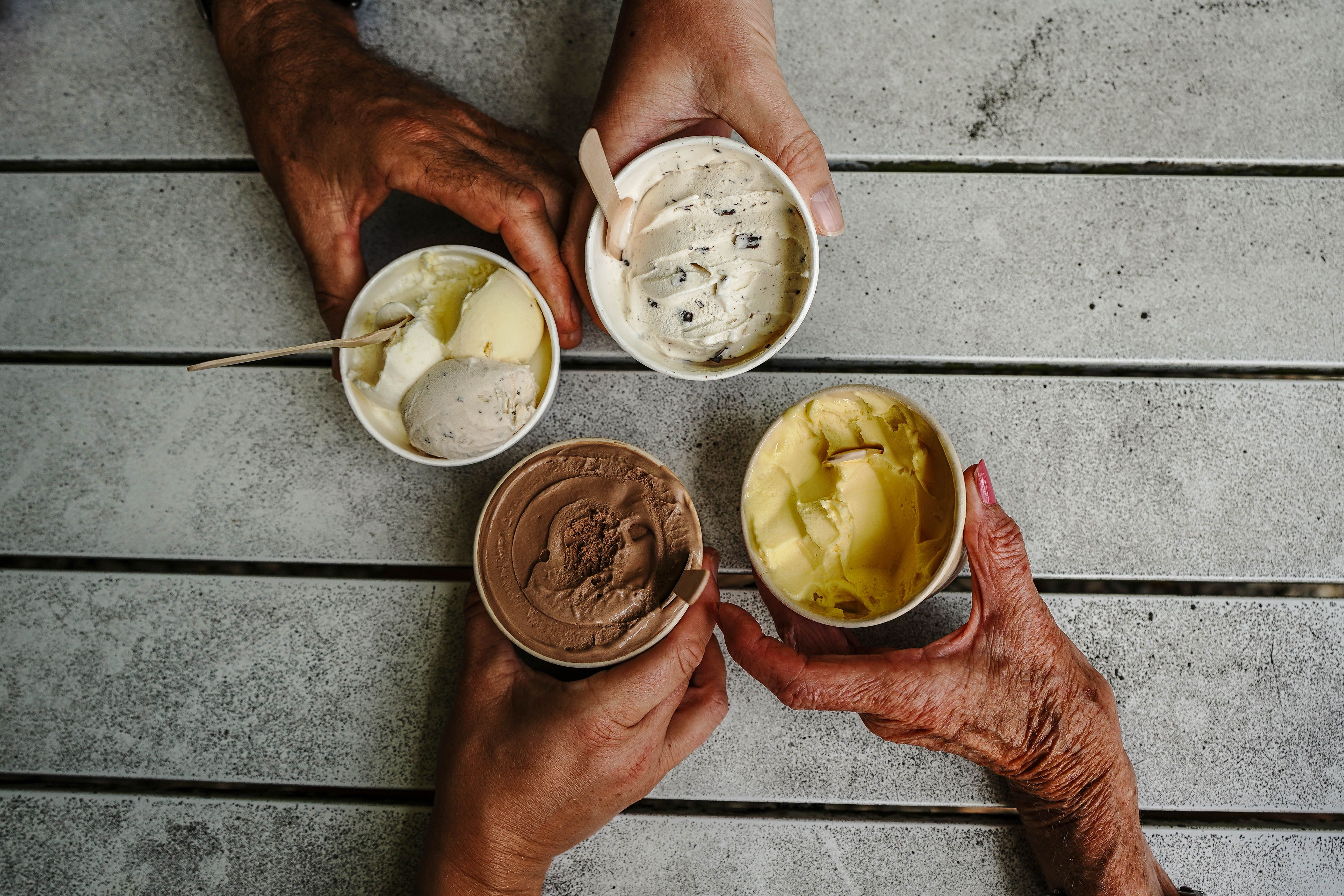 Full-Day Total Daintree Experience with Morning Tea, Lunch & Return Port Douglas Transfers 7