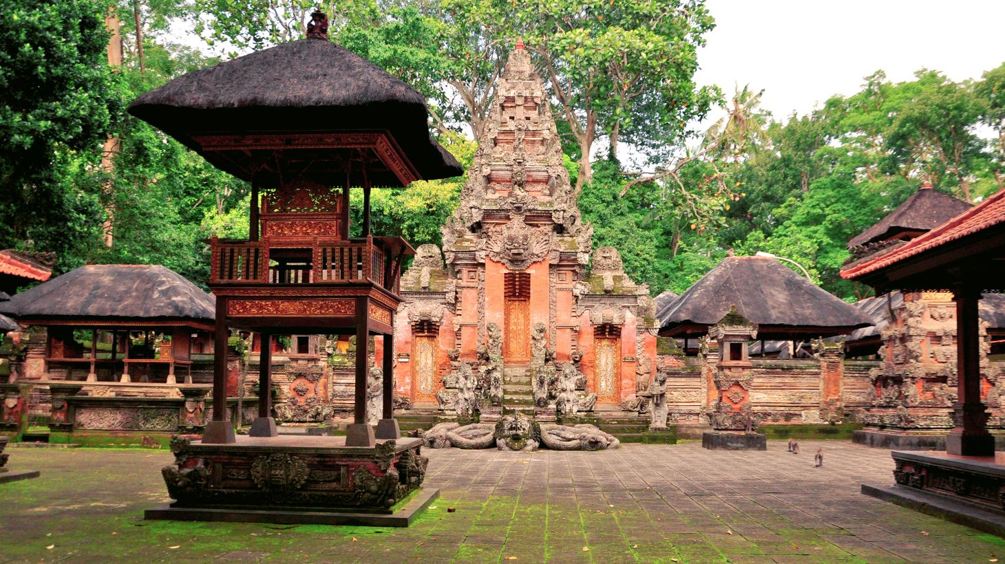 See the Enchanting Sights of Ubud on a Private Guided Highlights Tour with Lunch