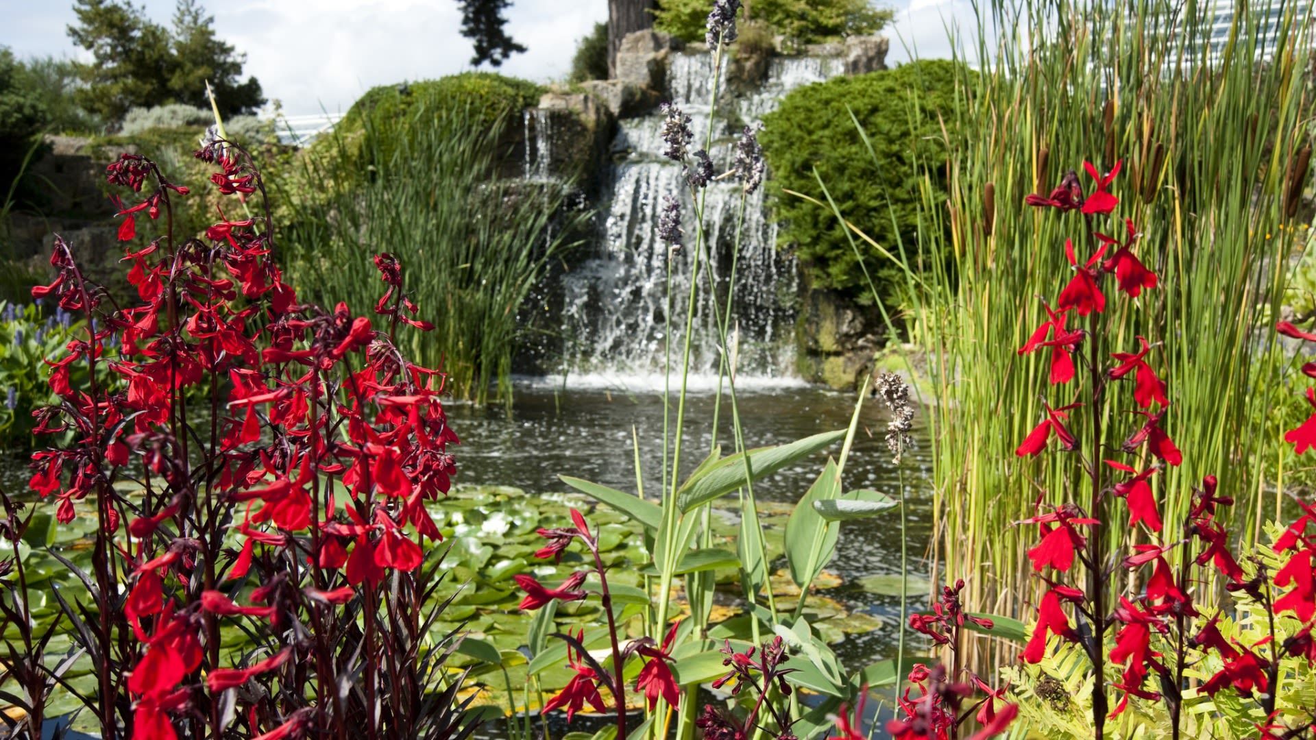 Royal Botanic Gardens Ticket in Kew Gardens 3