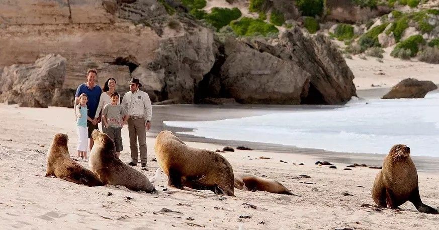 Kangaroo Island Scenic Nature and Wildlife Day Tour