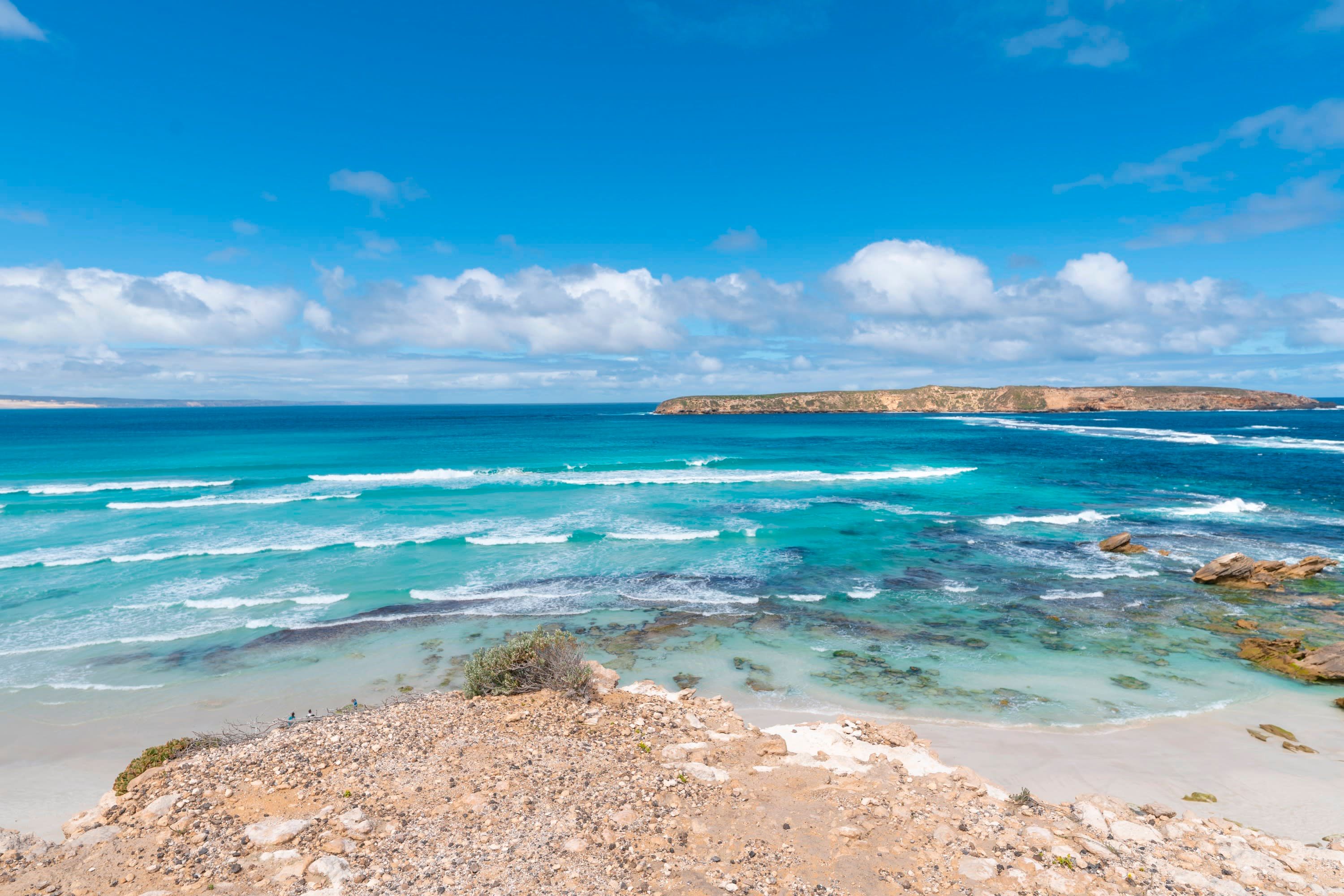 Coffin Bay Oyster Seafood Exploration Day Tour 1