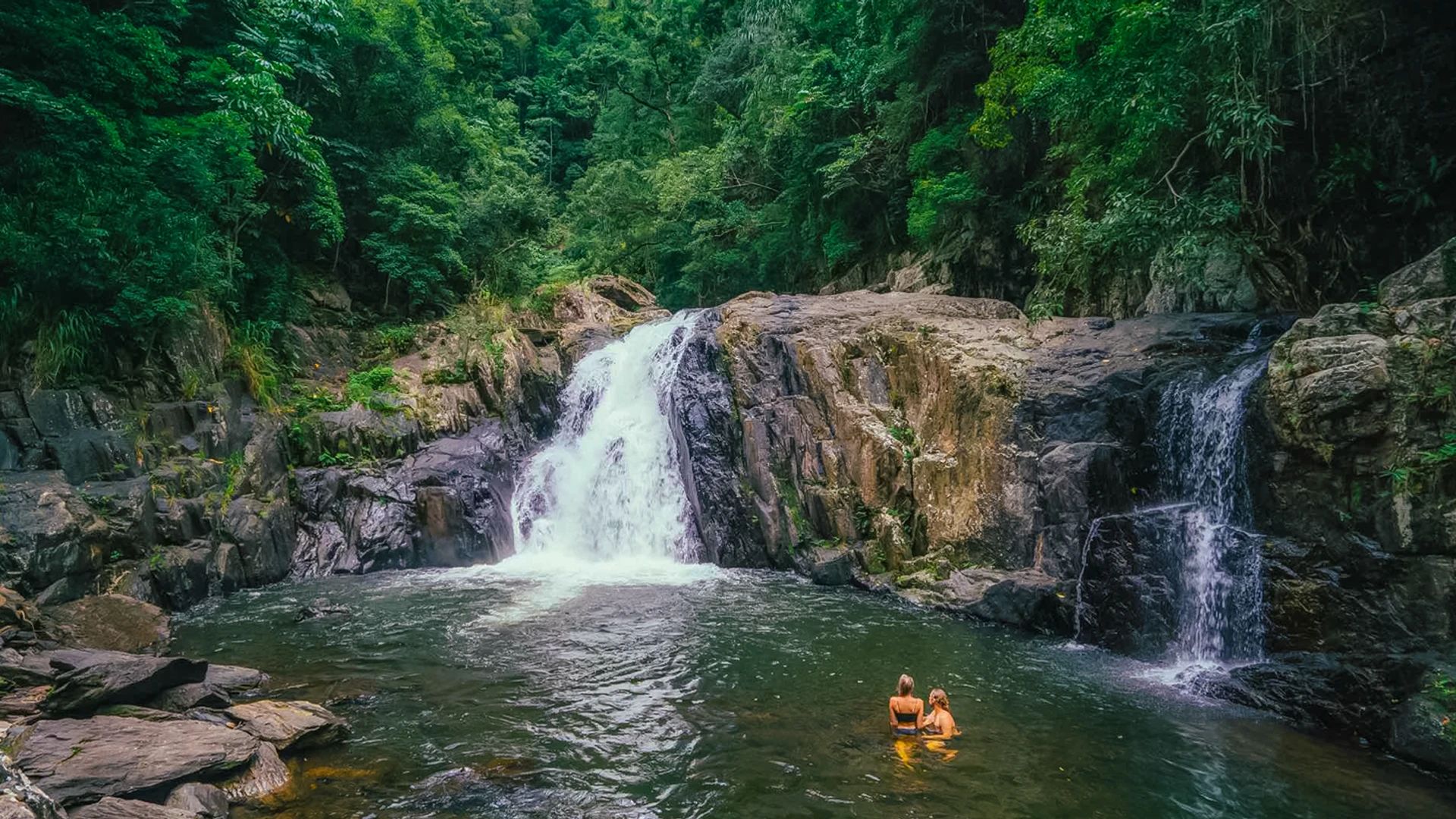 Excursion d’une demi-journée à la découverte des cascades et de la forêt tropicale au départ de Cairns 1
