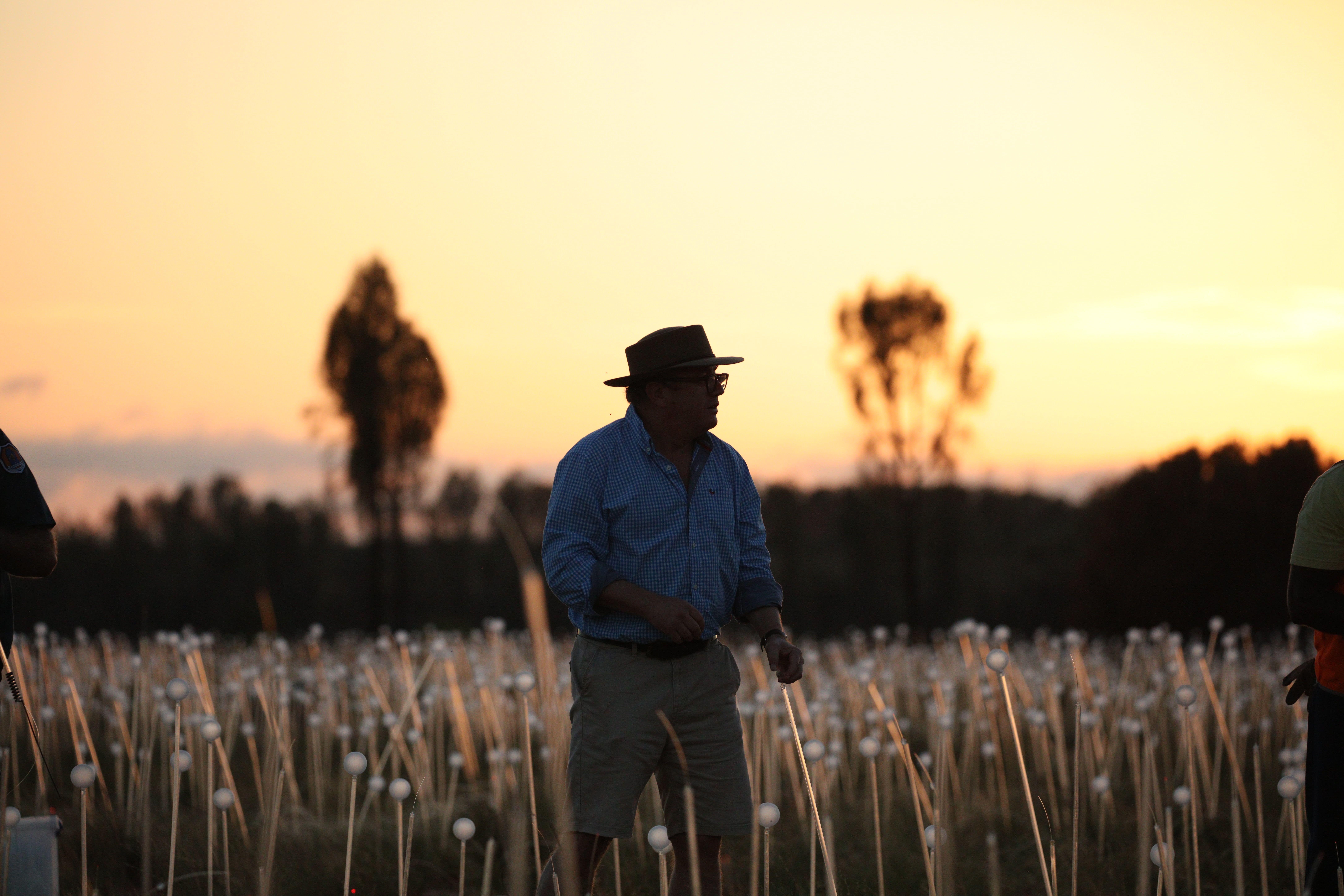 Field of Light – Sonnenaufgangstour 4