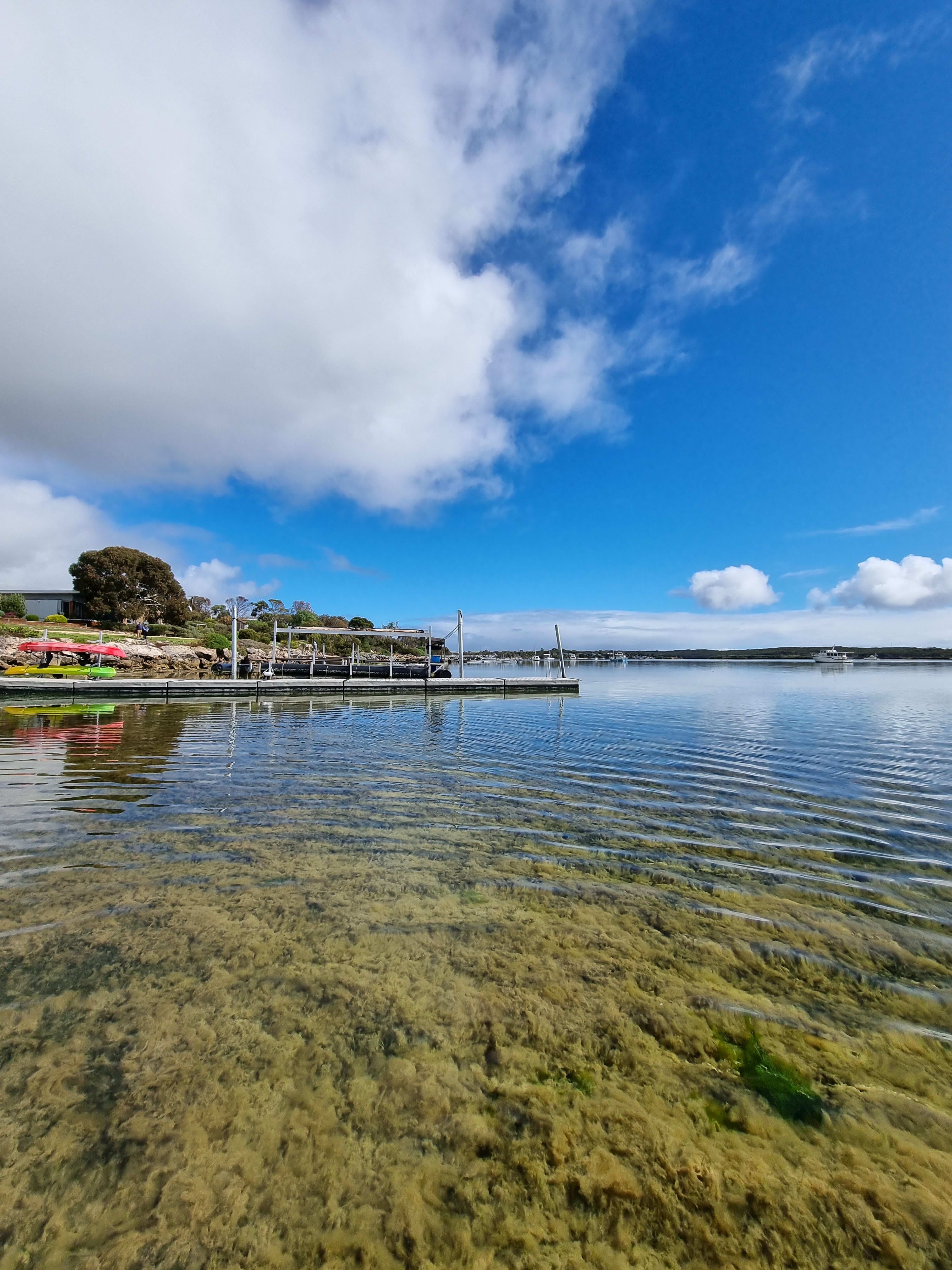Coffin Bay Oyster Seafood Exploration Day Tour 5