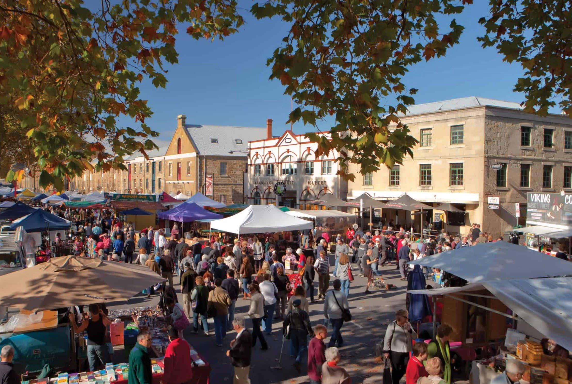 MONA Boat Cruise and Hobart City Morning Tour 5