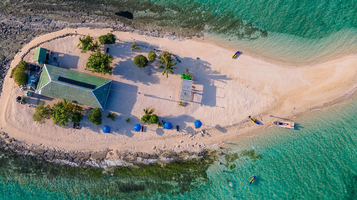 Savala Island Cruise with Buffet Lunch & Baby Shark Viewing