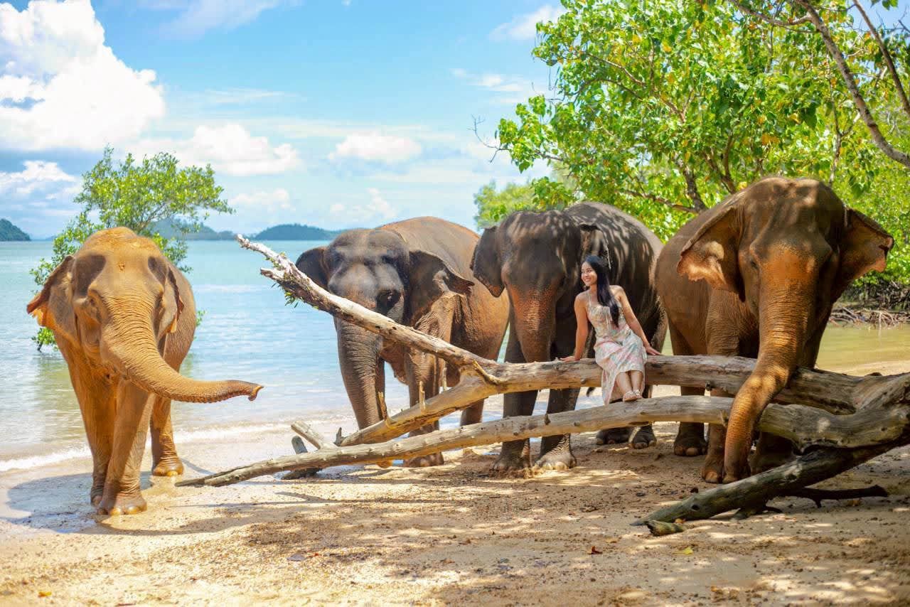 Expérience avec les éléphants et plage au Phuket Siray Elephant Care Camp