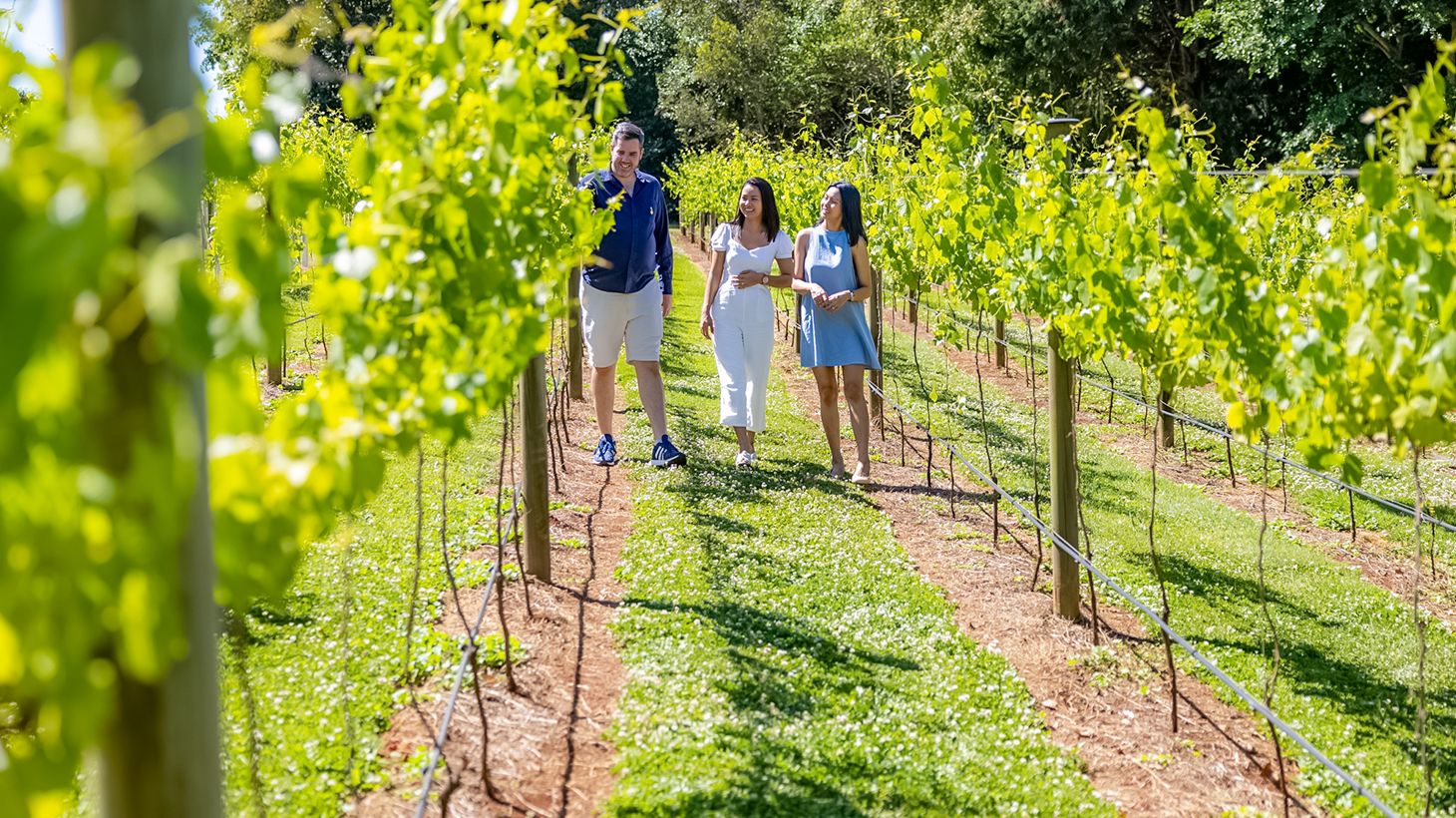 Full-Day Mount Tamborine Winery Tour to Four Venues with Two-Course Lunch & Return Transfers 1