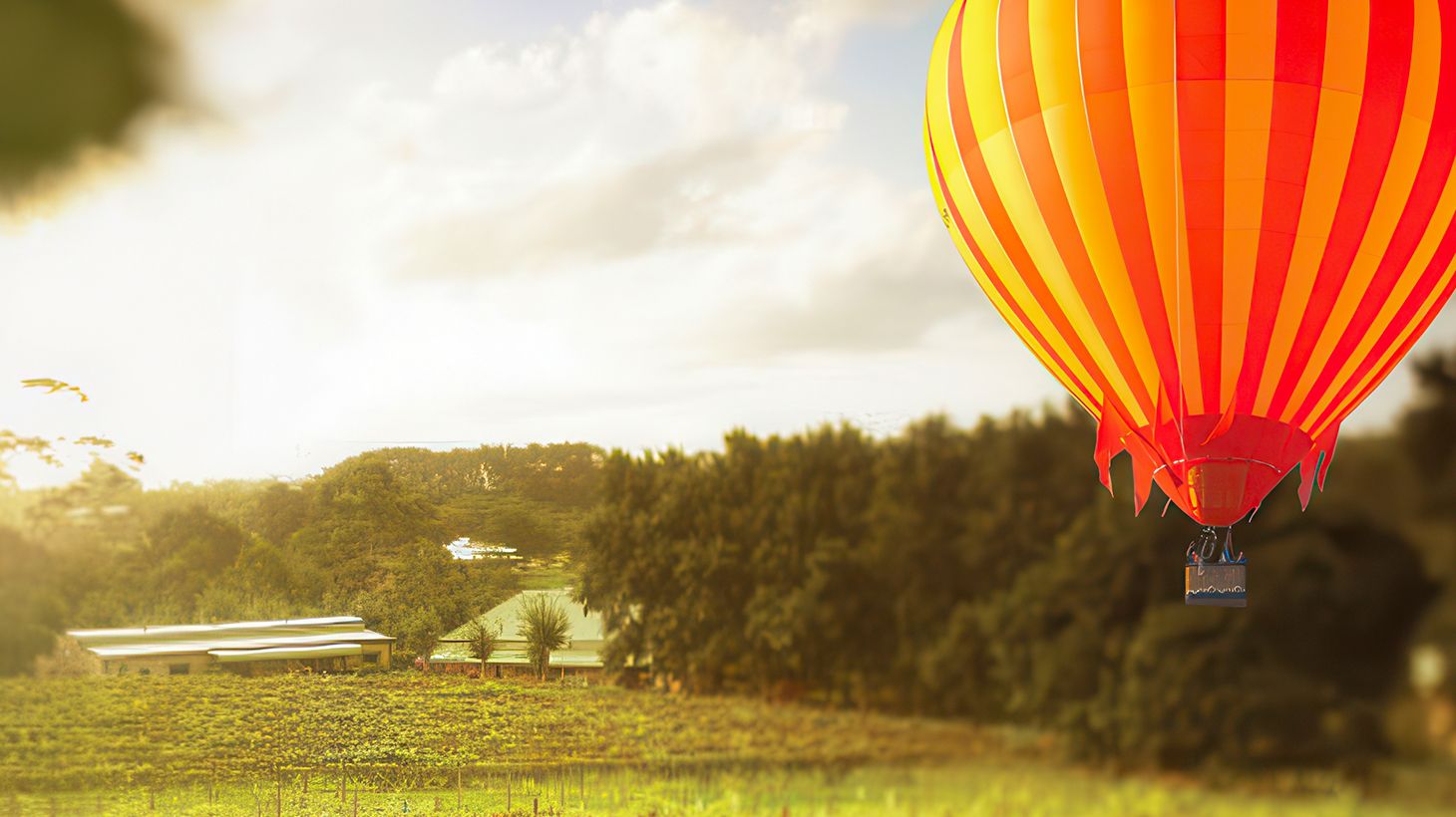 Six-Hour Gold Coast Ballooning Adventure with Glass of Sparkling Wine & Return Transfers 8