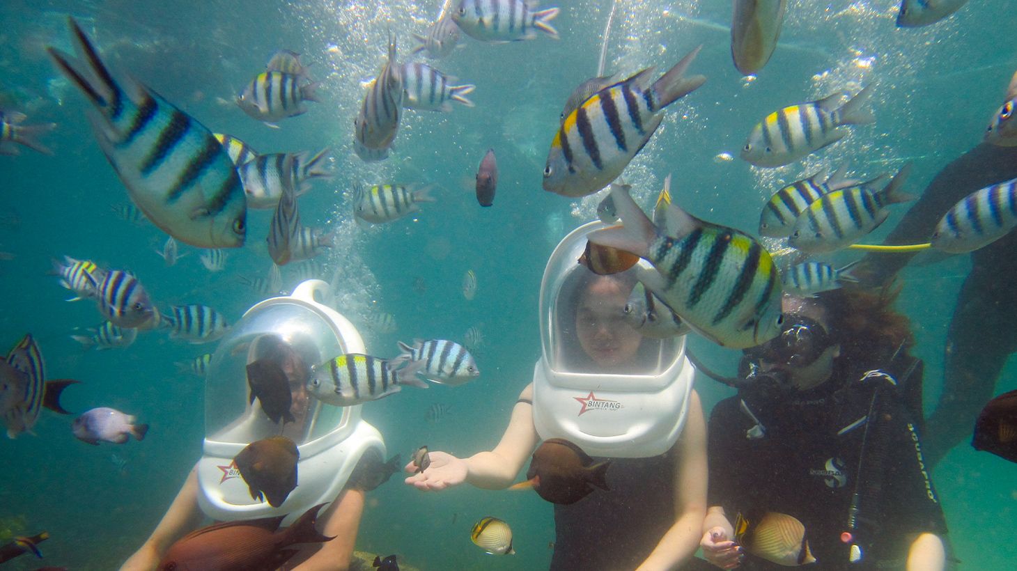 Half-Day Watersports Package with Fly Boarding, Sea Walker Experience, Doughnut Boat Ride & Private Hotel Transfers 3