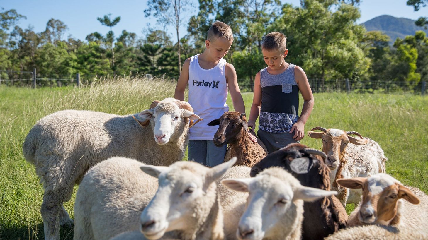 Fun-Filled Two-Hour Private Animal Tour with Horse Riding at Trevena Glen Farm