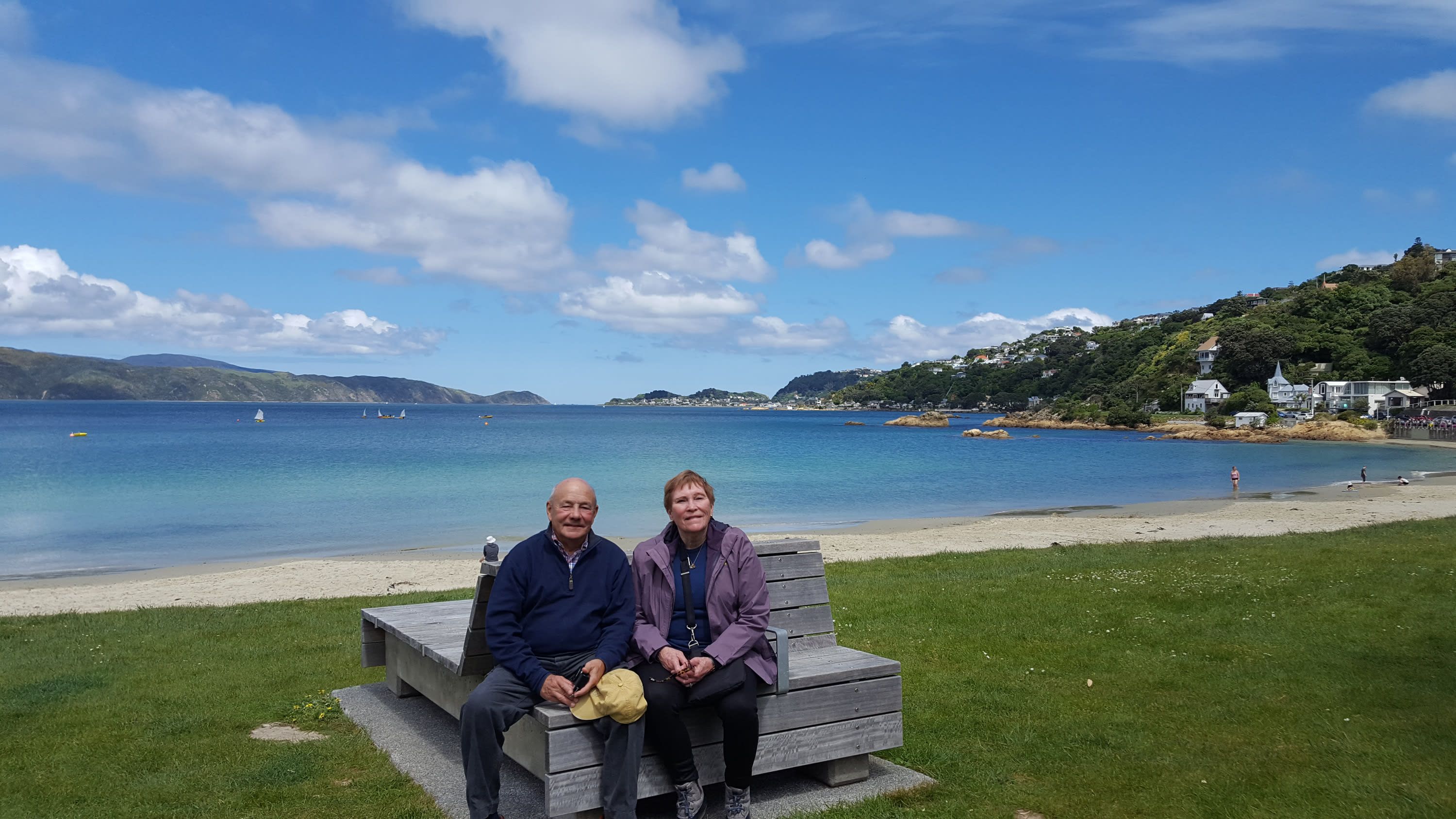 Wellington Half-Day City & Coastal Sightseeing Tour 3