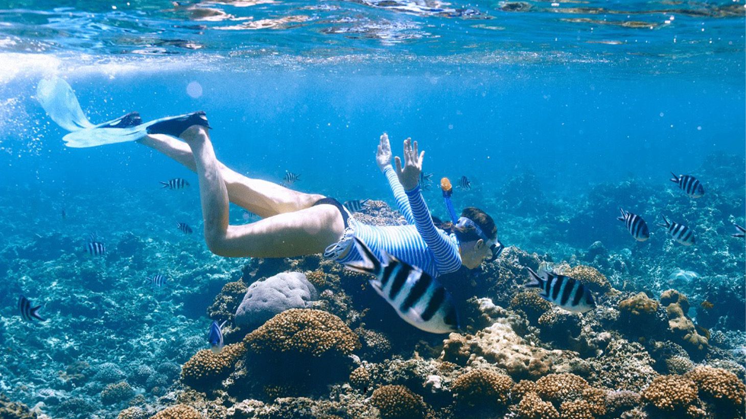Khao Lak: Full-Day Phi Phi & Bamboo Islands Speedboat Tour with Lunch & Return Transfers 5
