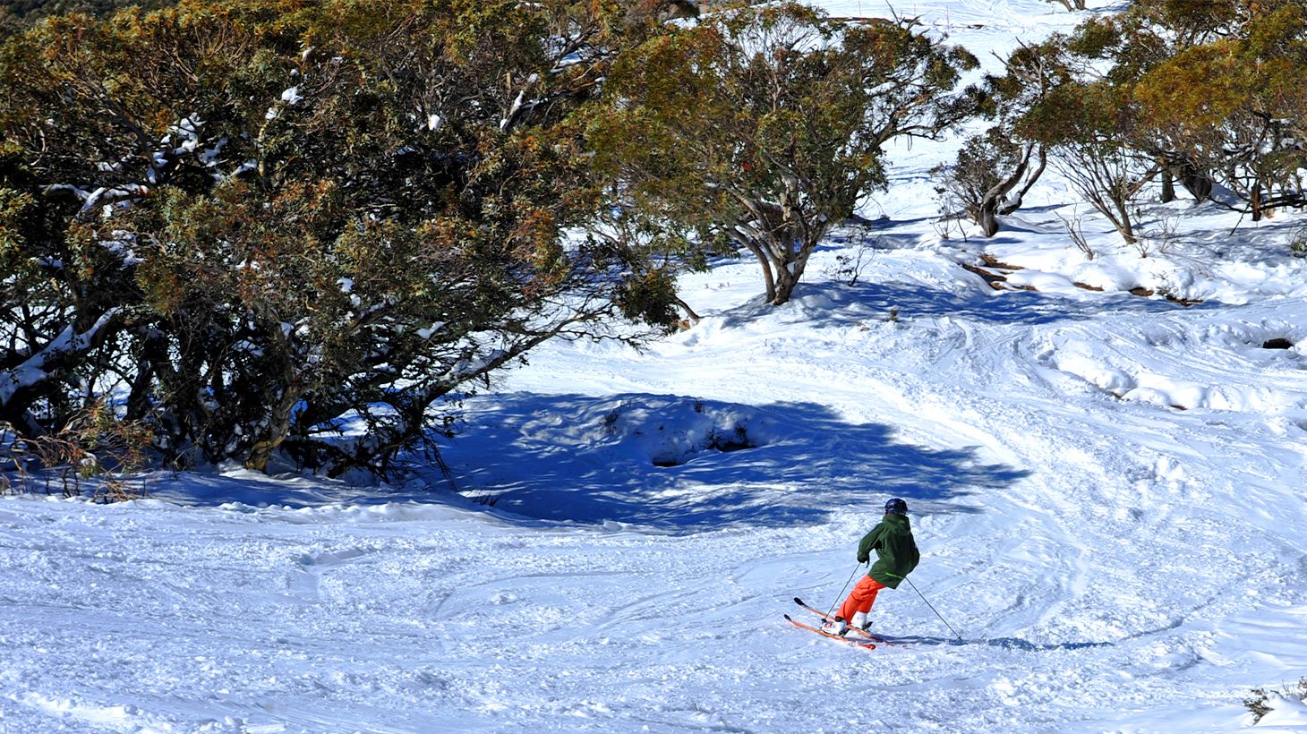 Full-Day Tour to Mount Buller Snow Slopes with Discounted Hire 4