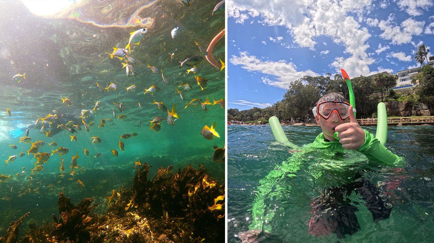 2.5-Hour Manly Snorkel & Headland Walk Eco Tour 5