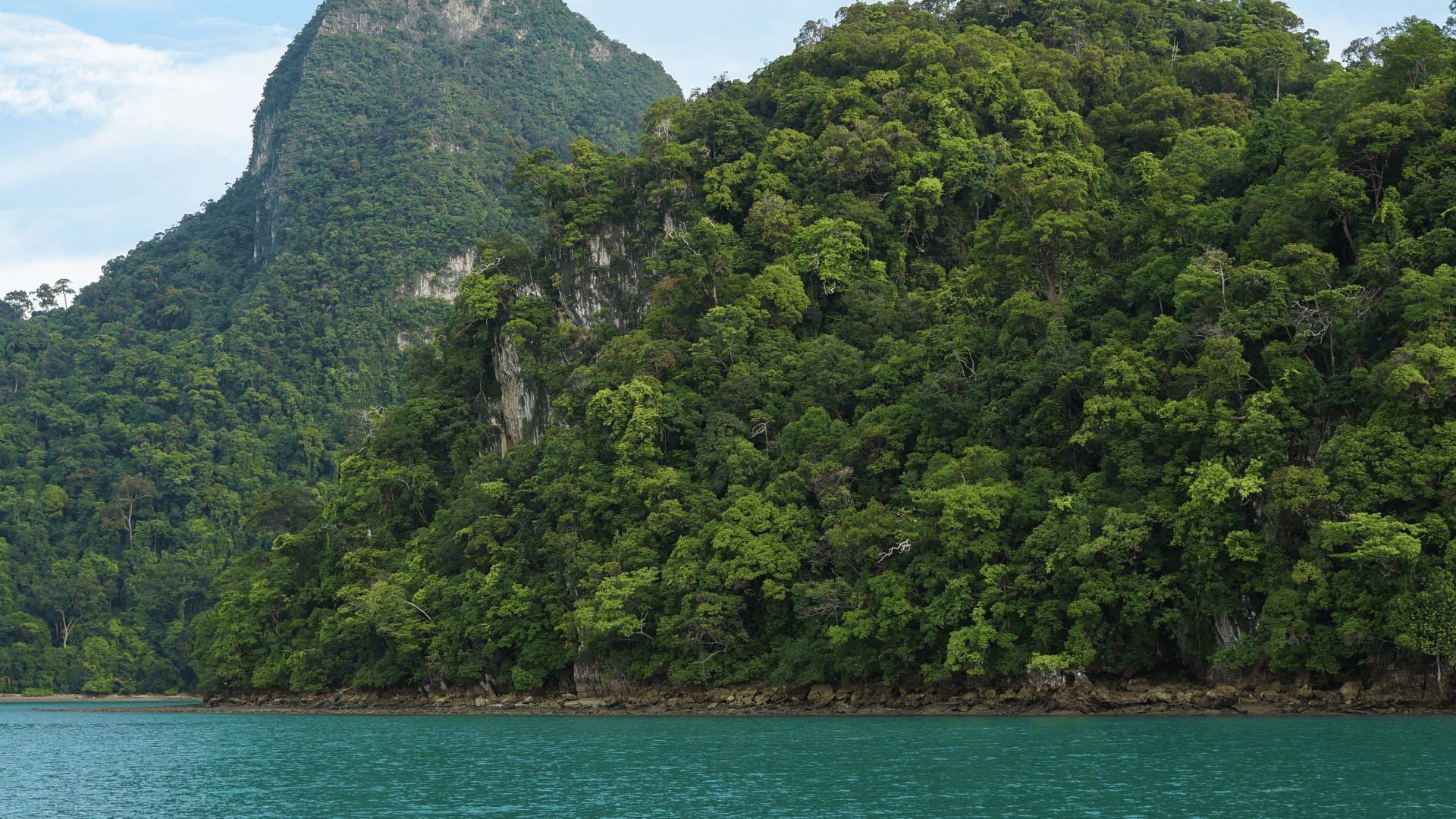 Langkawi Mangrove Tour 1