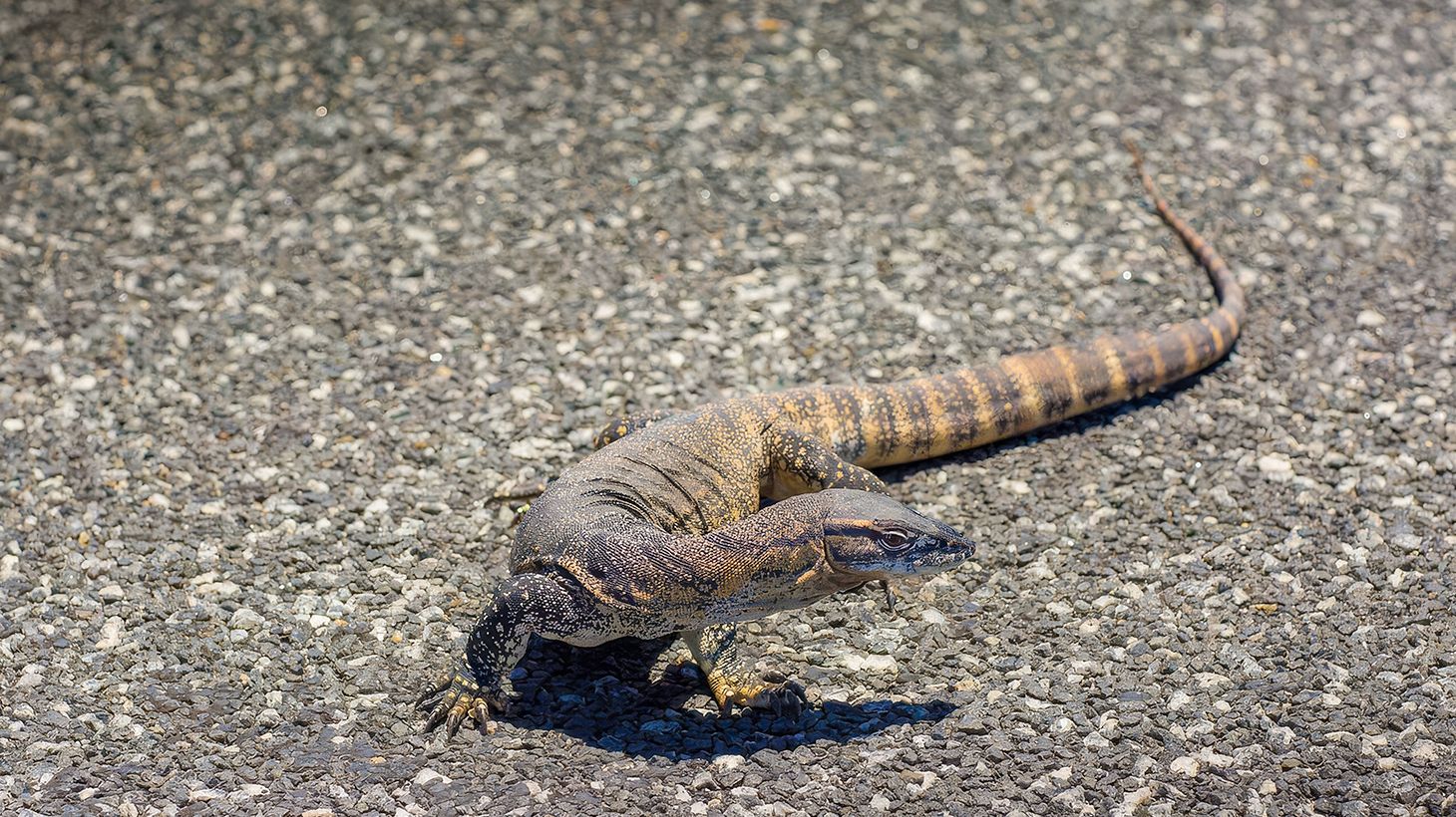 Full-Day Oysters, Ocean & Nature Tour with Tastings & Return Transfers 7