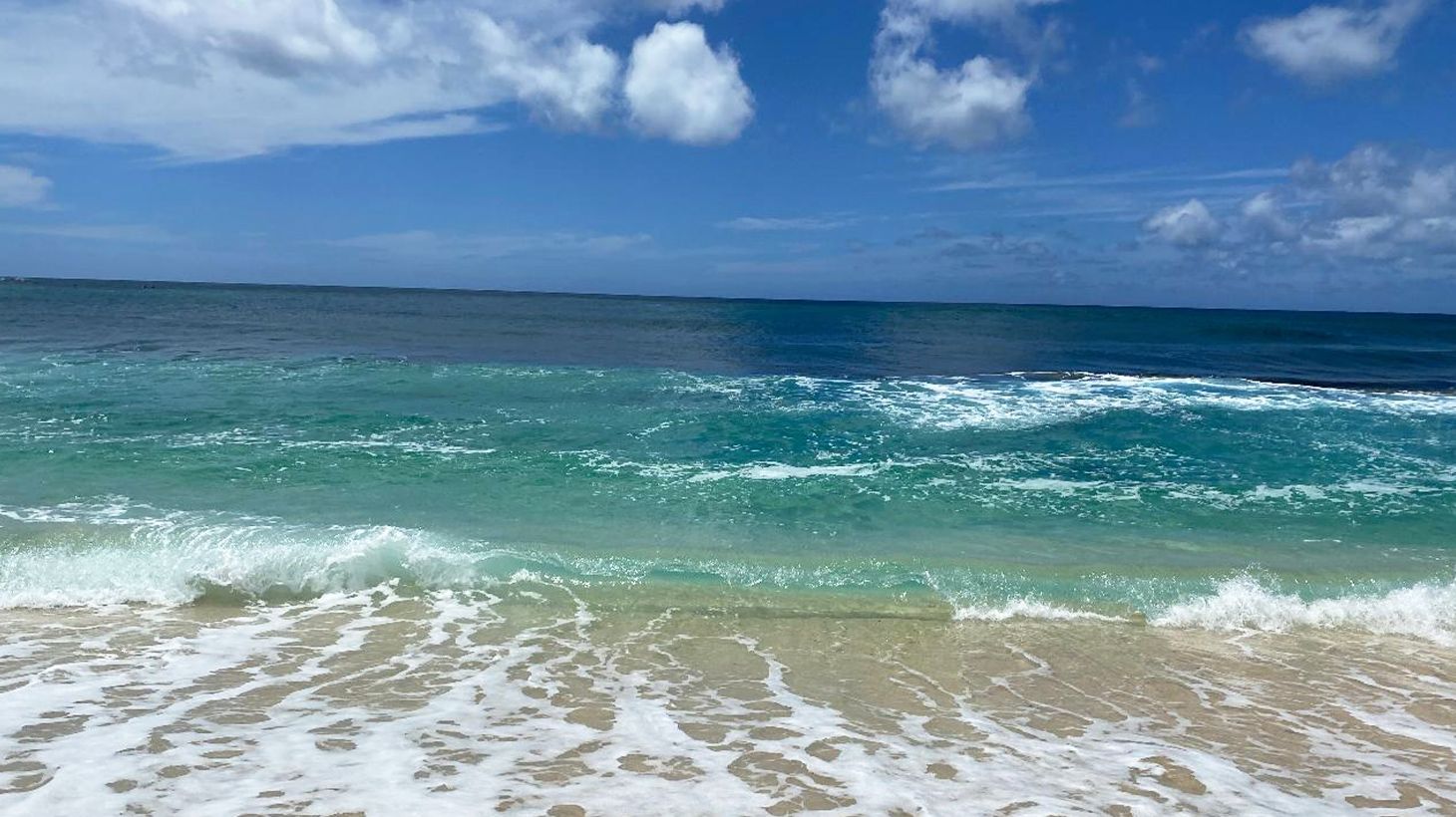 Full-Day Outdoor Tour with Guided Diamond Head Hike, North Shore Visit & Roundtrip Hotel Transfers 2