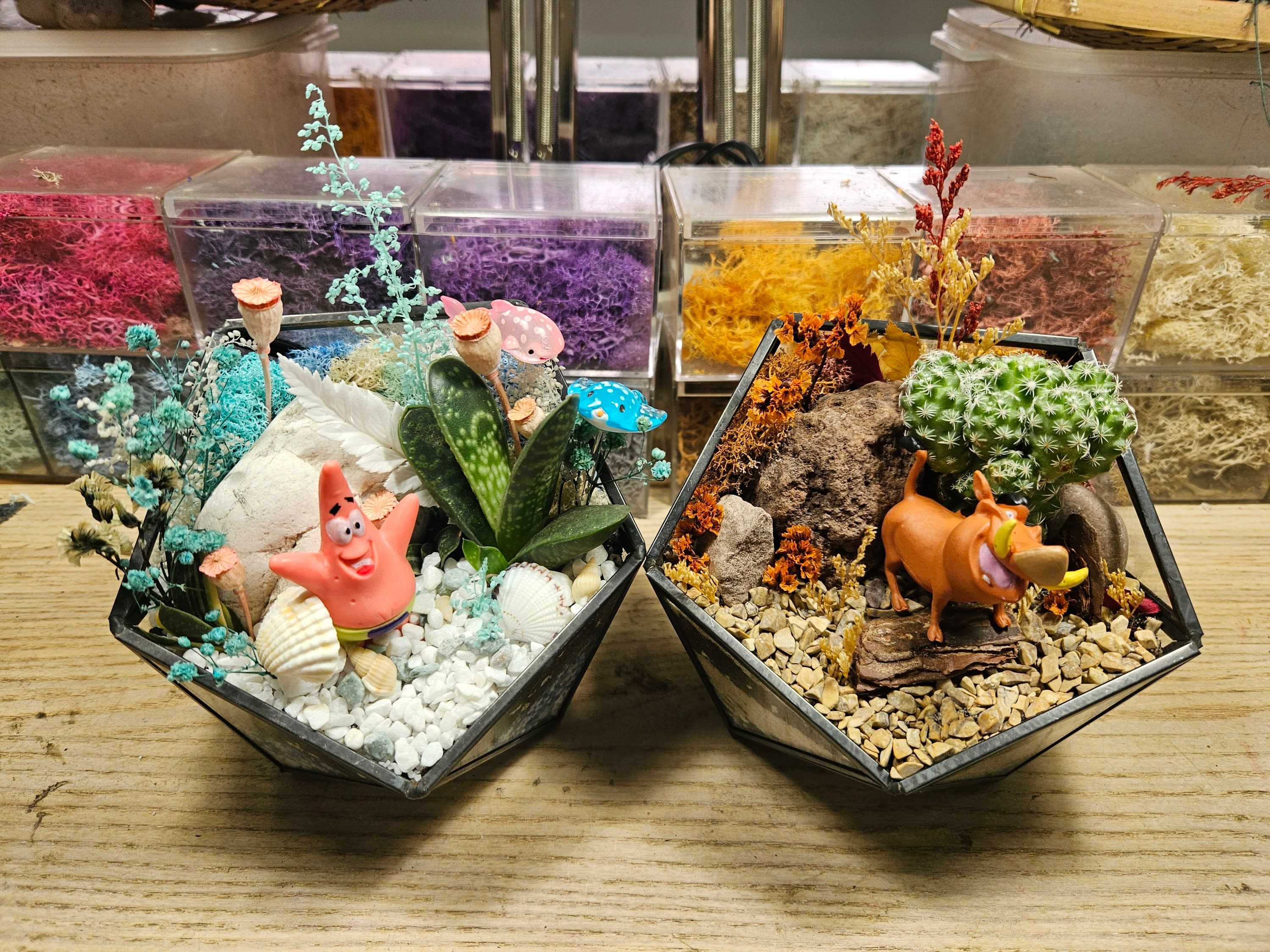Open Terrarium and Moss Art Workshop in Singapore by SPPFY STUDIO