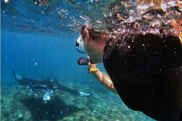 Tulamben Tropics: Snorkeling Bliss with PADI 5 Star Dive Center