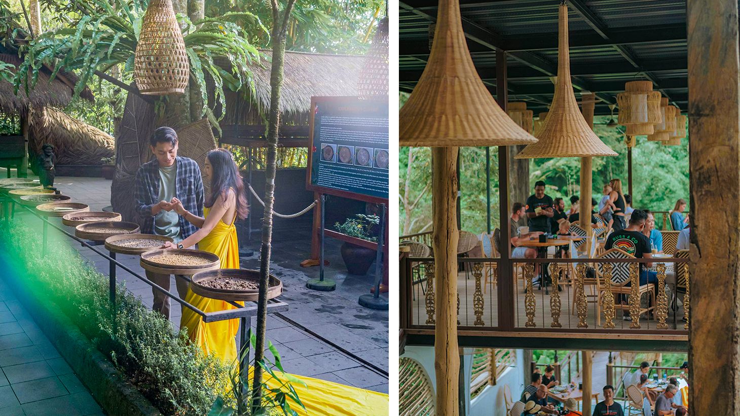 Full-Day Tegalalang Adventure with Coffee Tour, Ziplining, Jungle Swing & Lunch 4