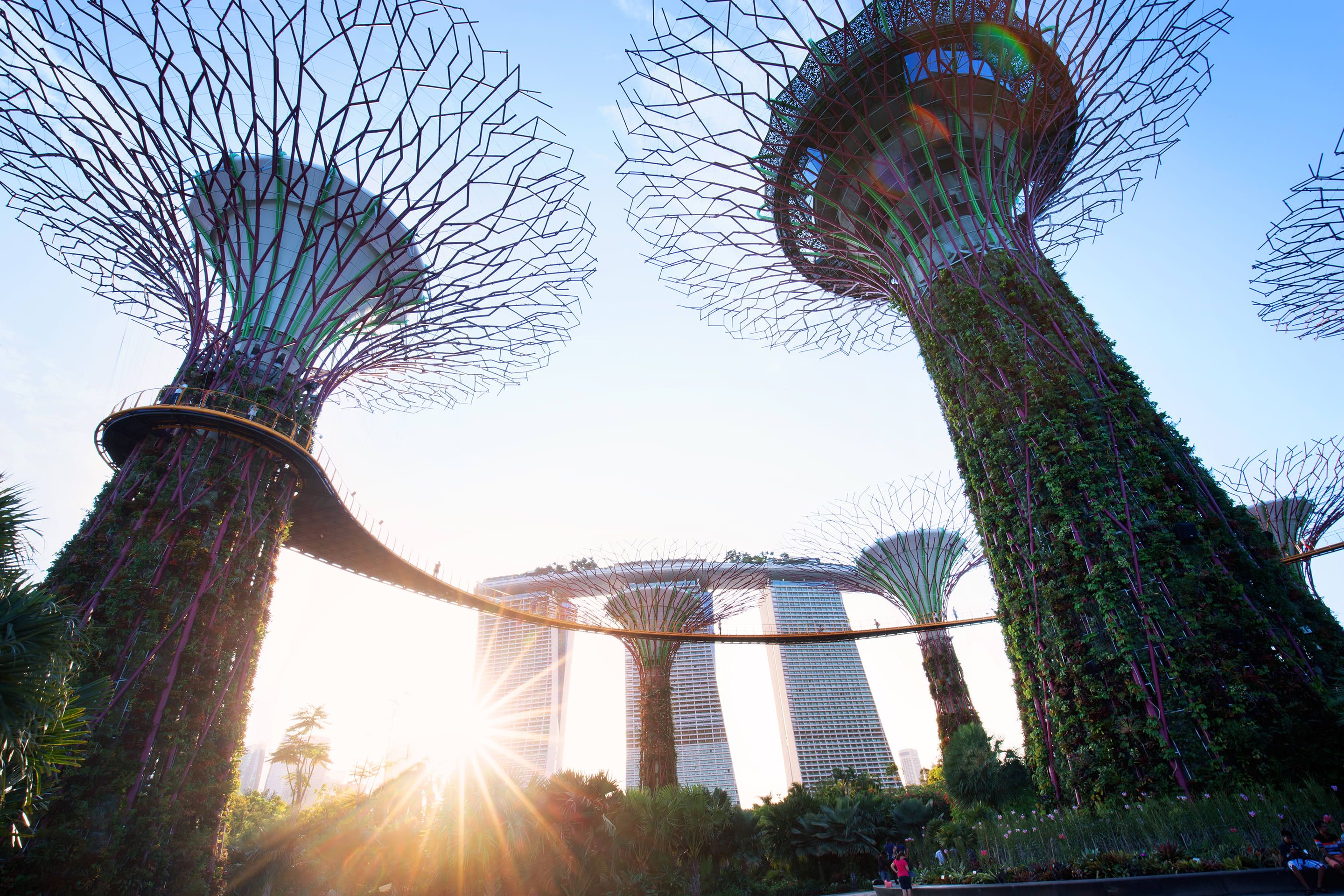 Singapore Gardens by the Bay 2.5-Hour Guided Tour