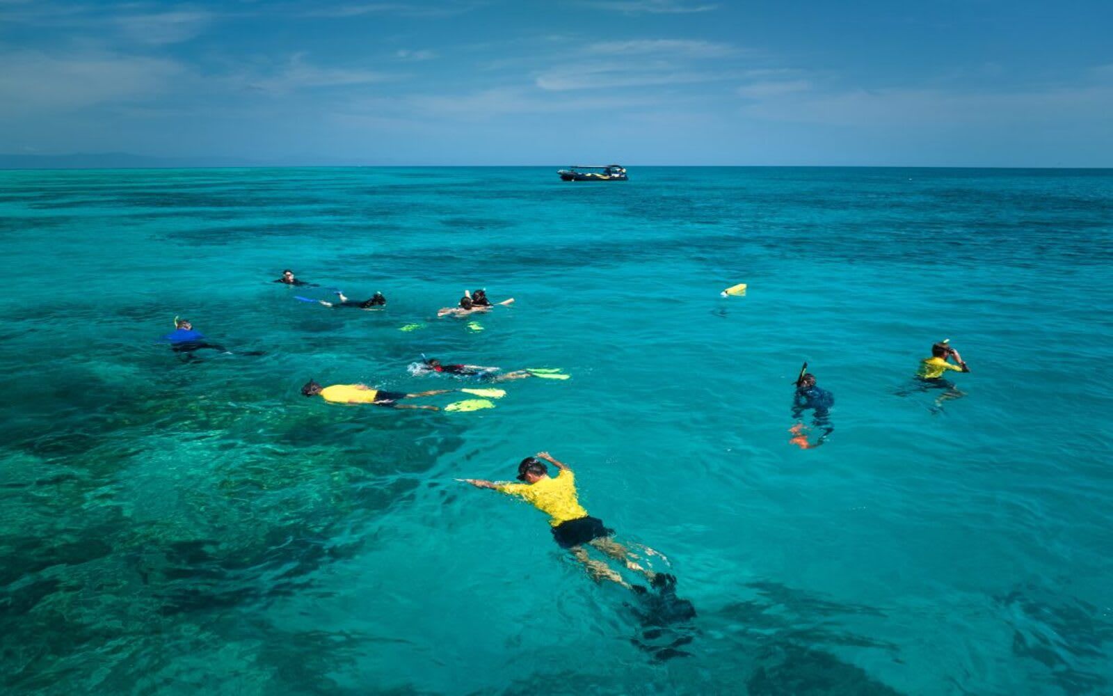 Halbtägiges Riffabenteuer zum Upolu Reef 6