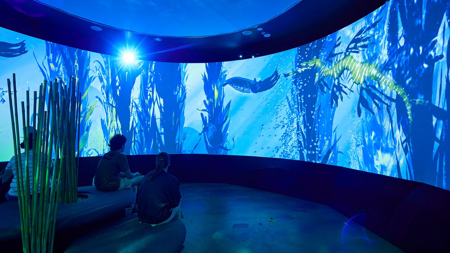 SEA LIFE Melbourne Aquarium Entry Ticket with Digital Photo Pass 4