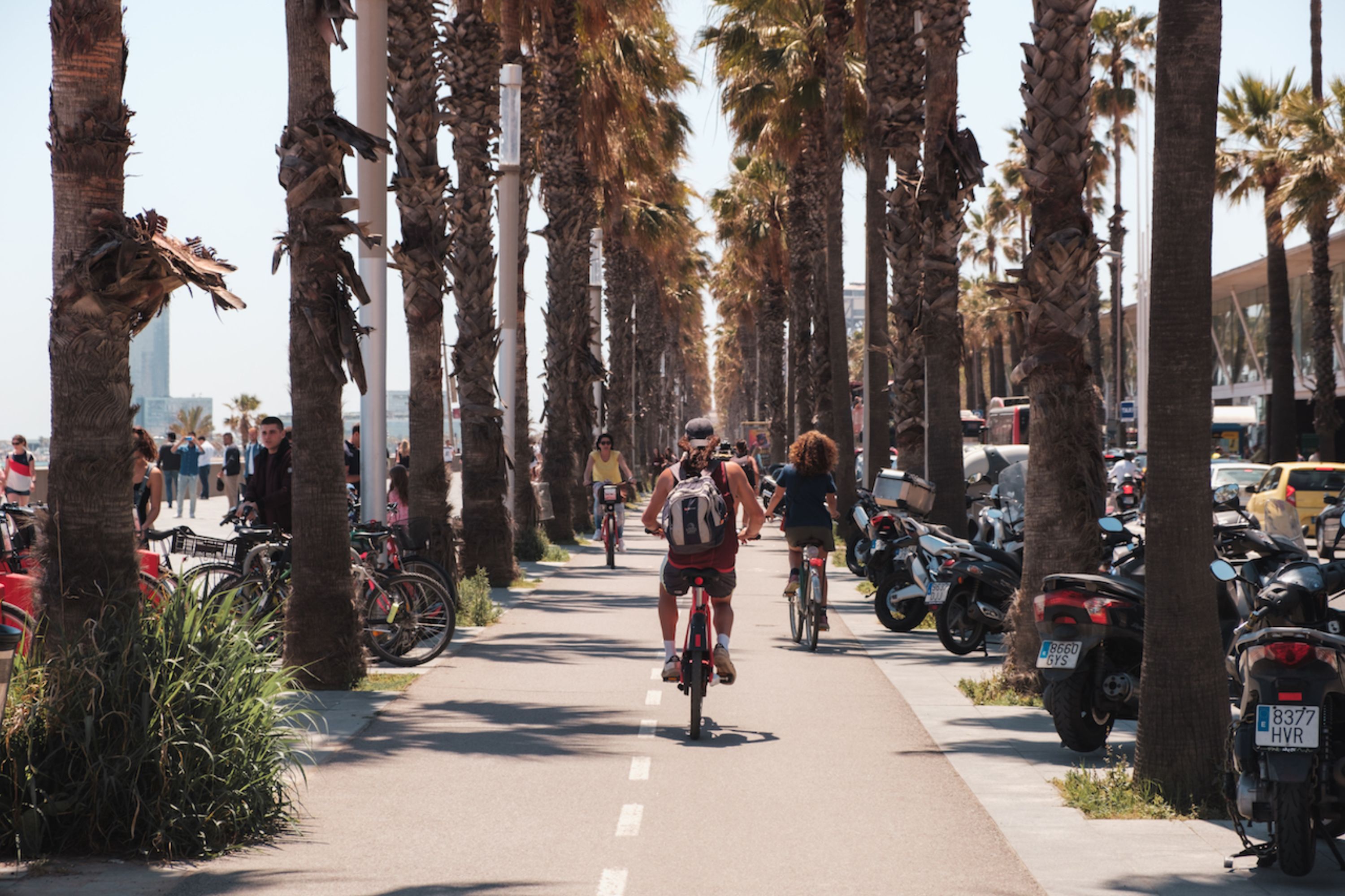 Highlights and hidden gems of the city bike tour in Barcelona