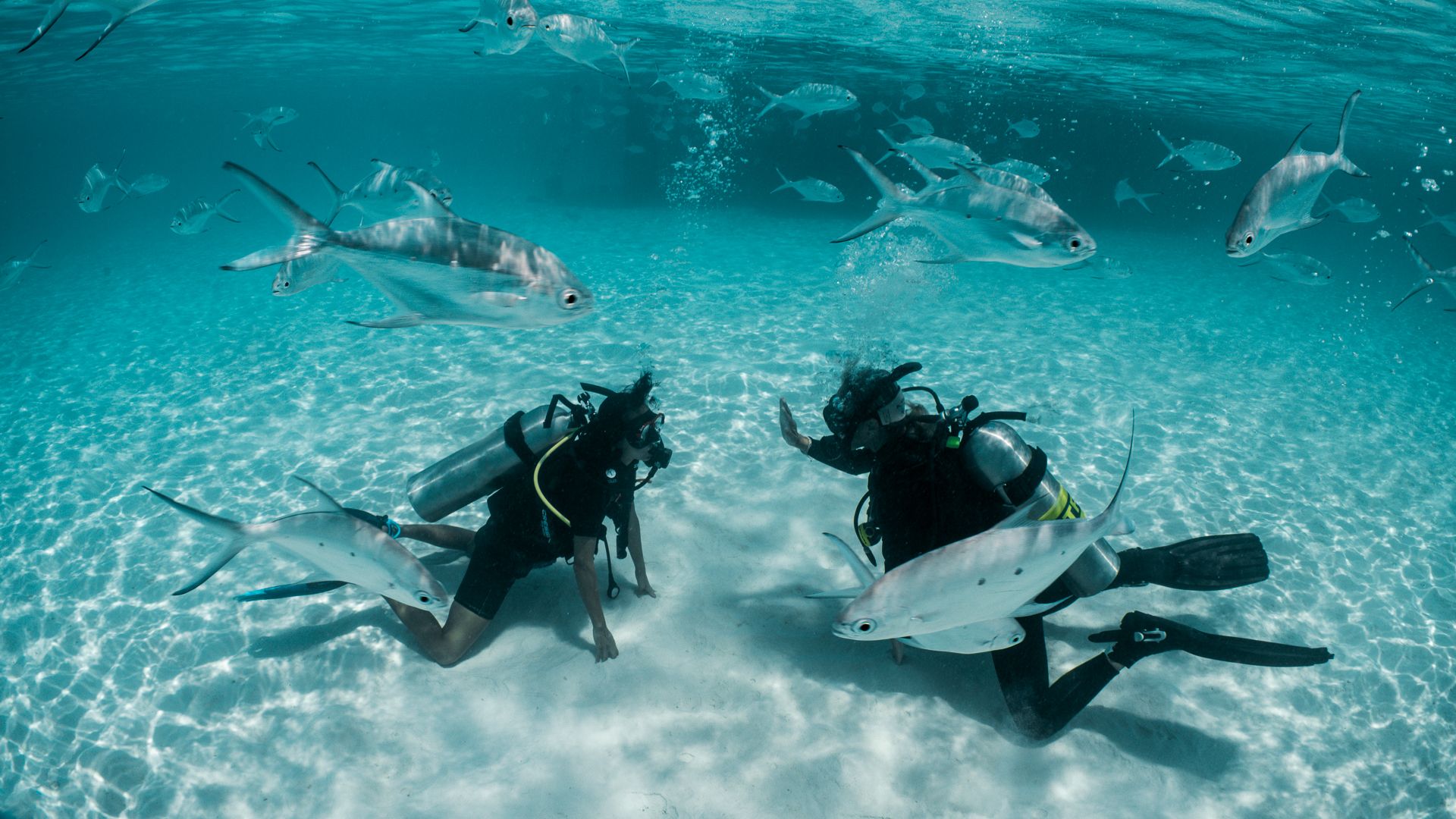 Ifuru Island Maldives Diving Experiences for Every Level – Scuba Diving & Open Water Dives 2